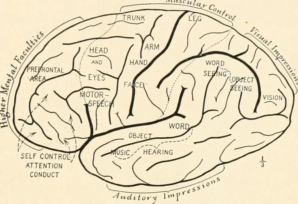 An illustration from Men of the old stone age, their environment, life and art, 1916, leaf 118