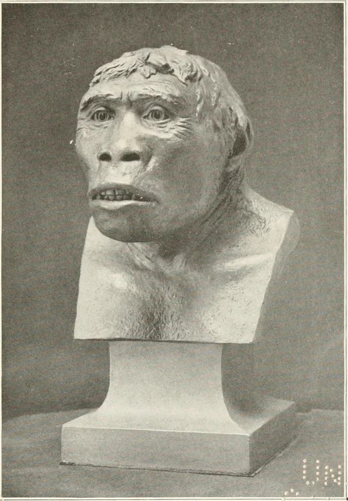 An illustration from Men of the old stone age, their environment, life and art, 1916, leaf 122