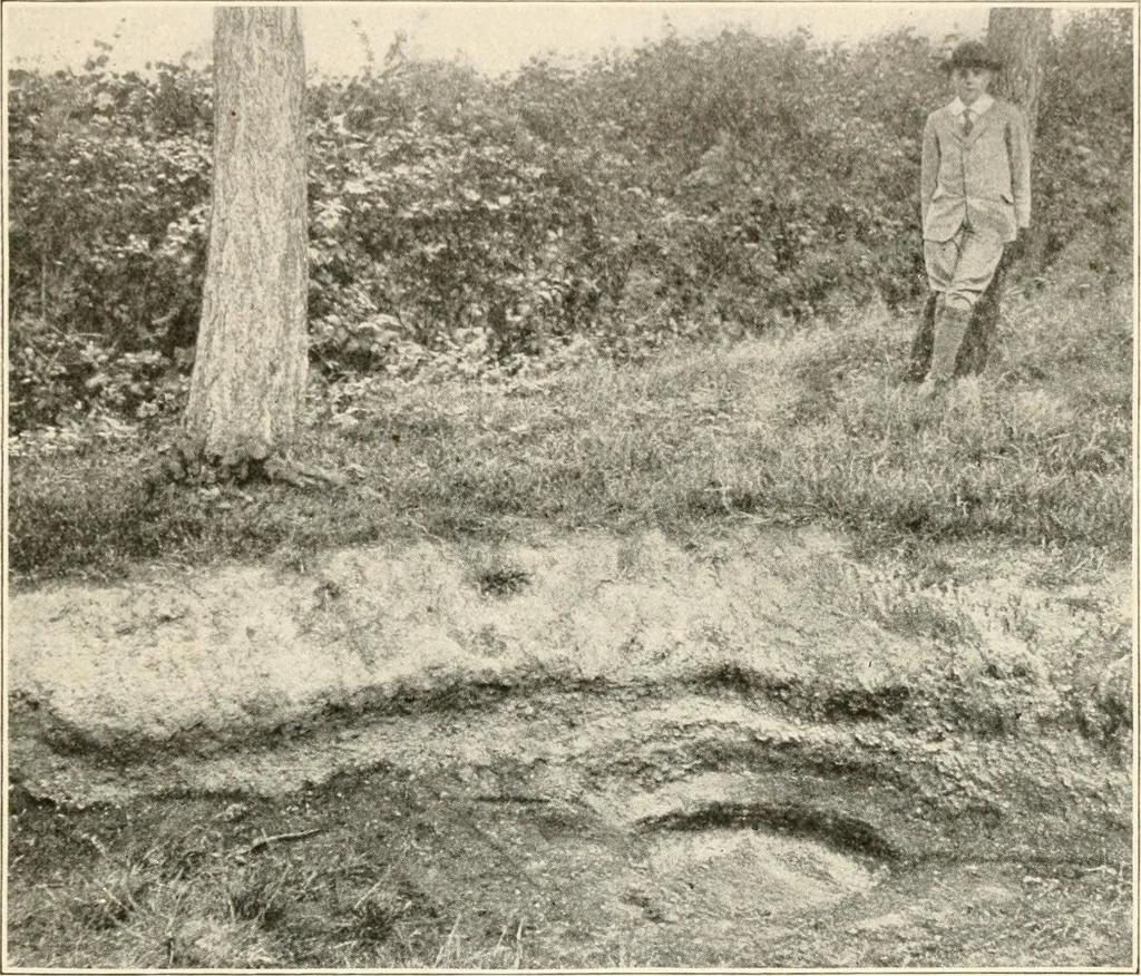 An illustration from Men of the old stone age, their environment, life and art, 1916, leaf 166