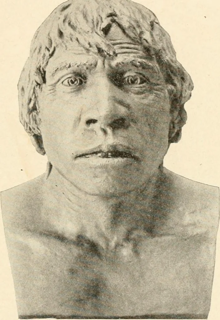 An illustration from Men of the old stone age, their environment, life and art, 1916, leaf 178