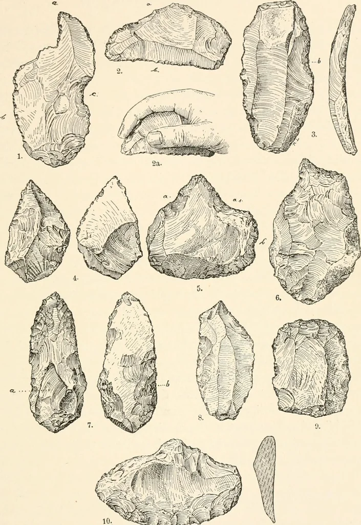 An illustration from Men of the old stone age, their environment, life and art, 1916, leaf 188