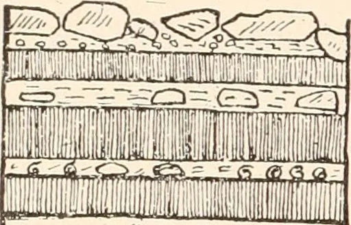 An illustration from Men of the old stone age, their environment, life and art, 1916, leaf 199
