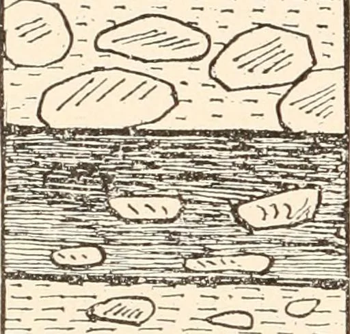 An illustration from Men of the old stone age, their environment, life and art, 1916, leaf 199