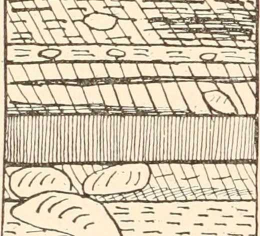 An illustration from Men of the old stone age, their environment, life and art, 1916, leaf 199