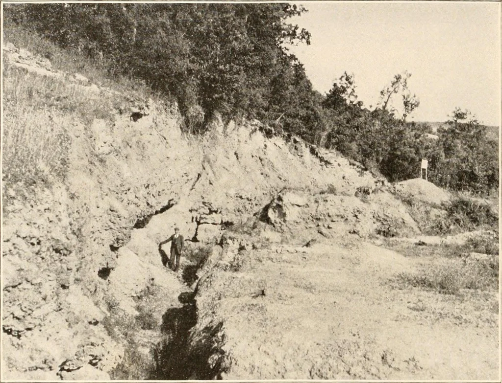 An illustration from Men of the old stone age, their environment, life and art, 1916, leaf 203