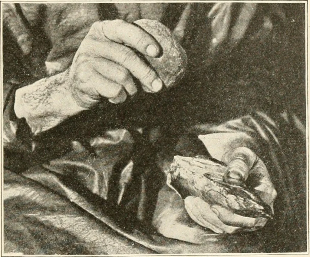 An illustration from Men of the old stone age, their environment, life and art, 1916, leaf 204