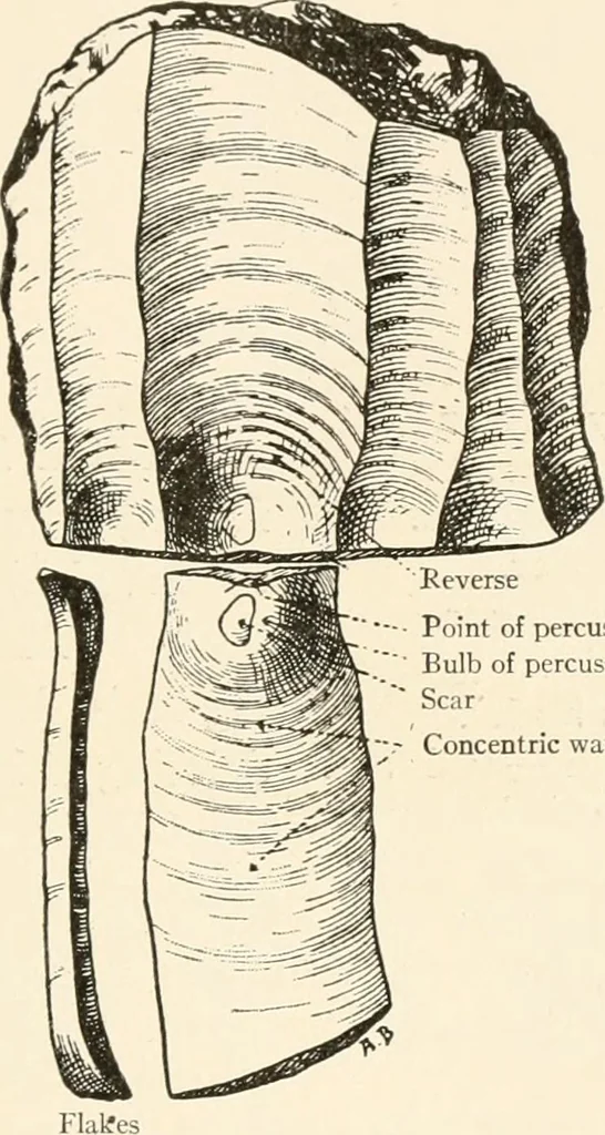 An illustration from Men of the old stone age, their environment, life and art, 1916, leaf 206