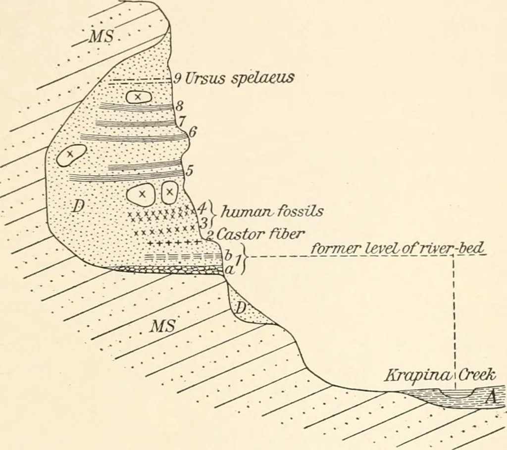 An illustration from Men of the old stone age, their environment, life and art, 1916, leaf 218