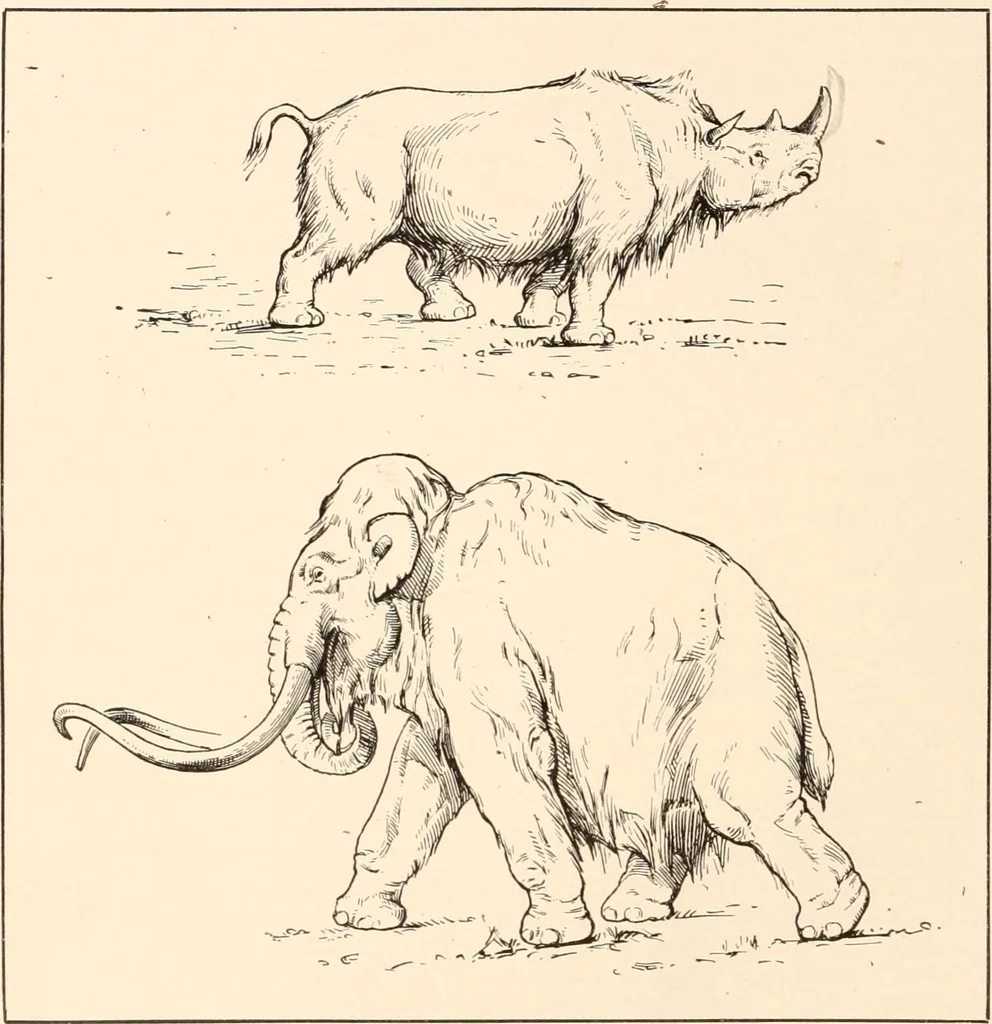 An illustration from Men of the old stone age, their environment, life and art, 1916, leaf 225