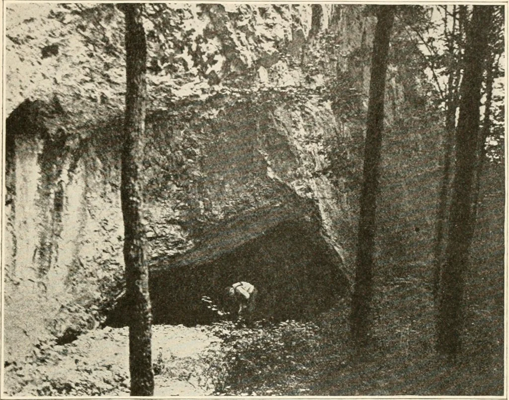 An illustration from Men of the old stone age, their environment, life and art, 1916, leaf 236