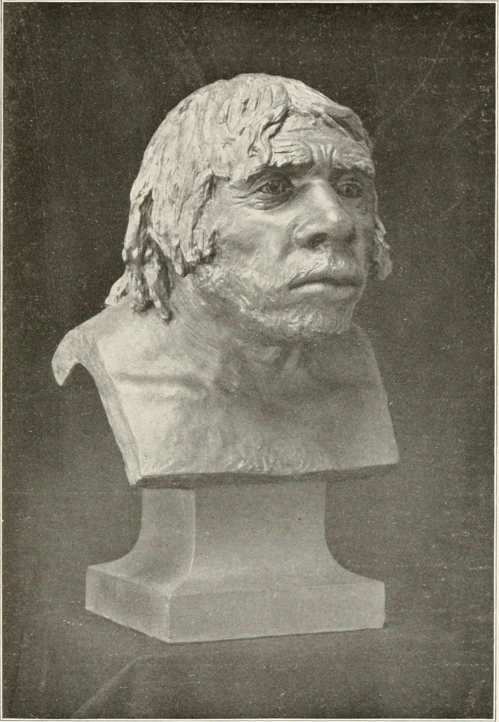 An illustration from Men of the old stone age, their environment, life and art, 1916, leaf 238