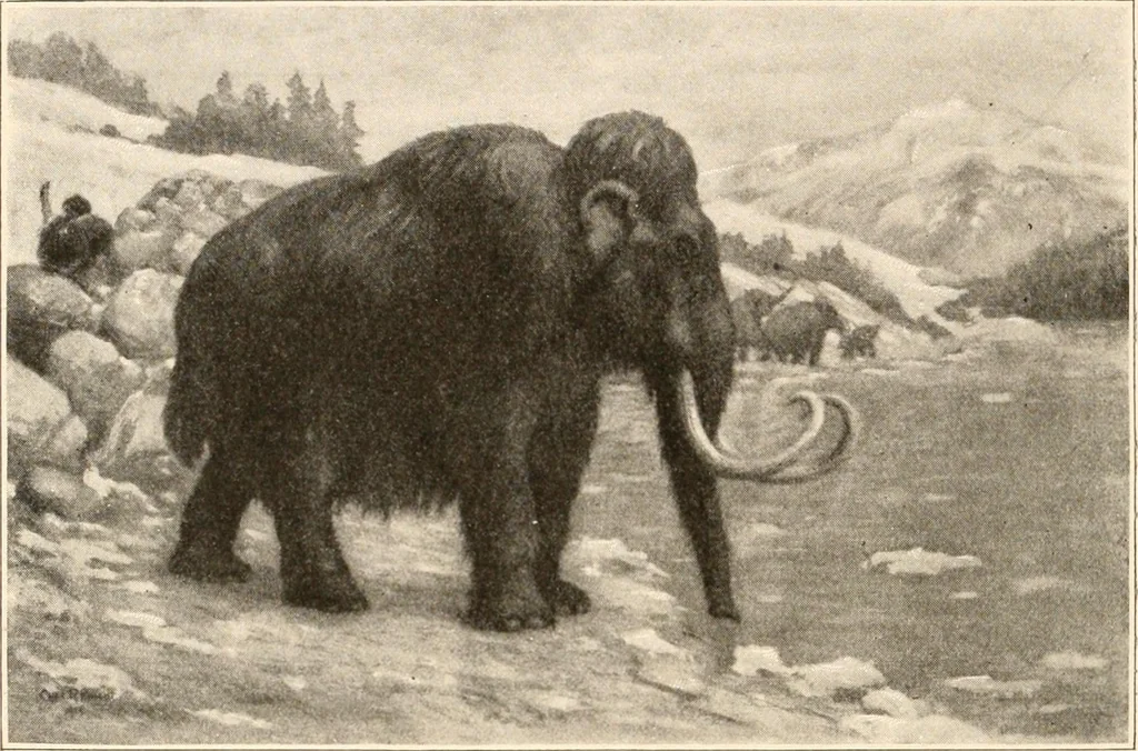 An illustration from Men of the old stone age, their environment, life and art, 1916, leaf 243