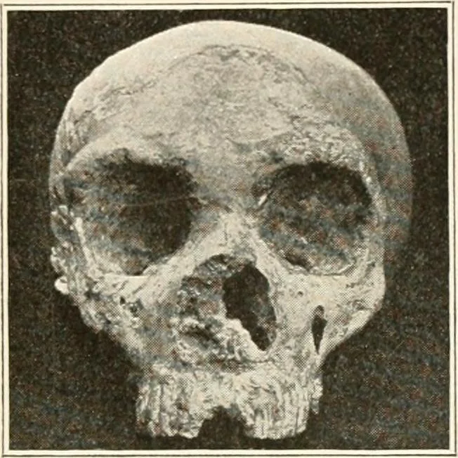An illustration from Men of the old stone age, their environment, life and art, 1916, leaf 250