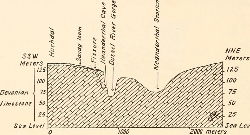An illustration from Men of the old stone age, their environment, life and art, 1916, leaf 251