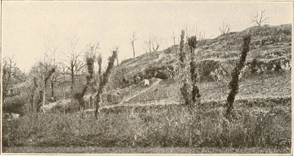 An illustration from Men of the old stone age, their environment, life and art, 1916, leaf 257