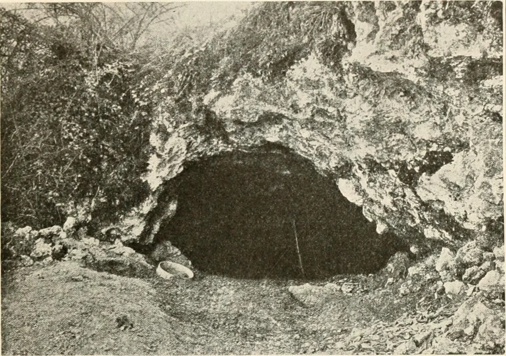 An illustration from Men of the old stone age, their environment, life and art, 1916, leaf 258