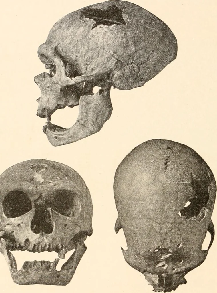 An illustration from Men of the old stone age, their environment, life and art, 1916, leaf 259