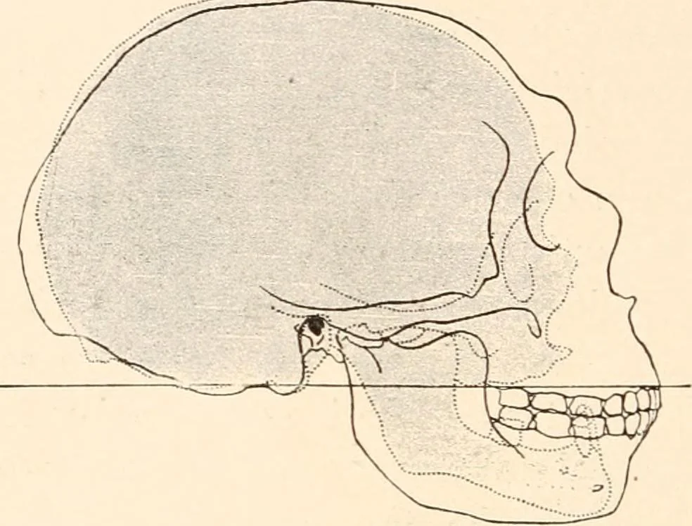 An illustration from Men of the old stone age, their environment, life and art, 1916, leaf 265