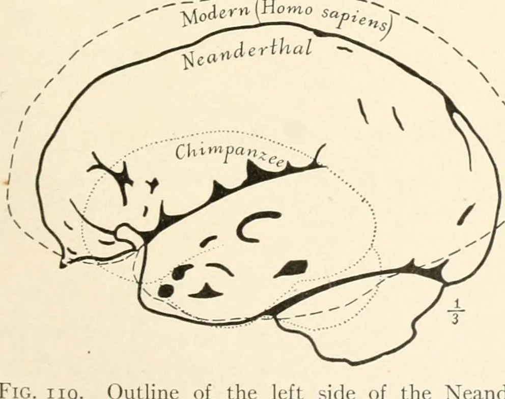An illustration from Men of the old stone age, their environment, life and art, 1916, leaf 270