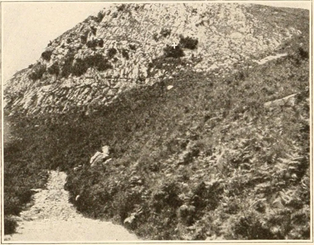 An illustration from Men of the old stone age, their environment, life and art, 1916, leaf 281