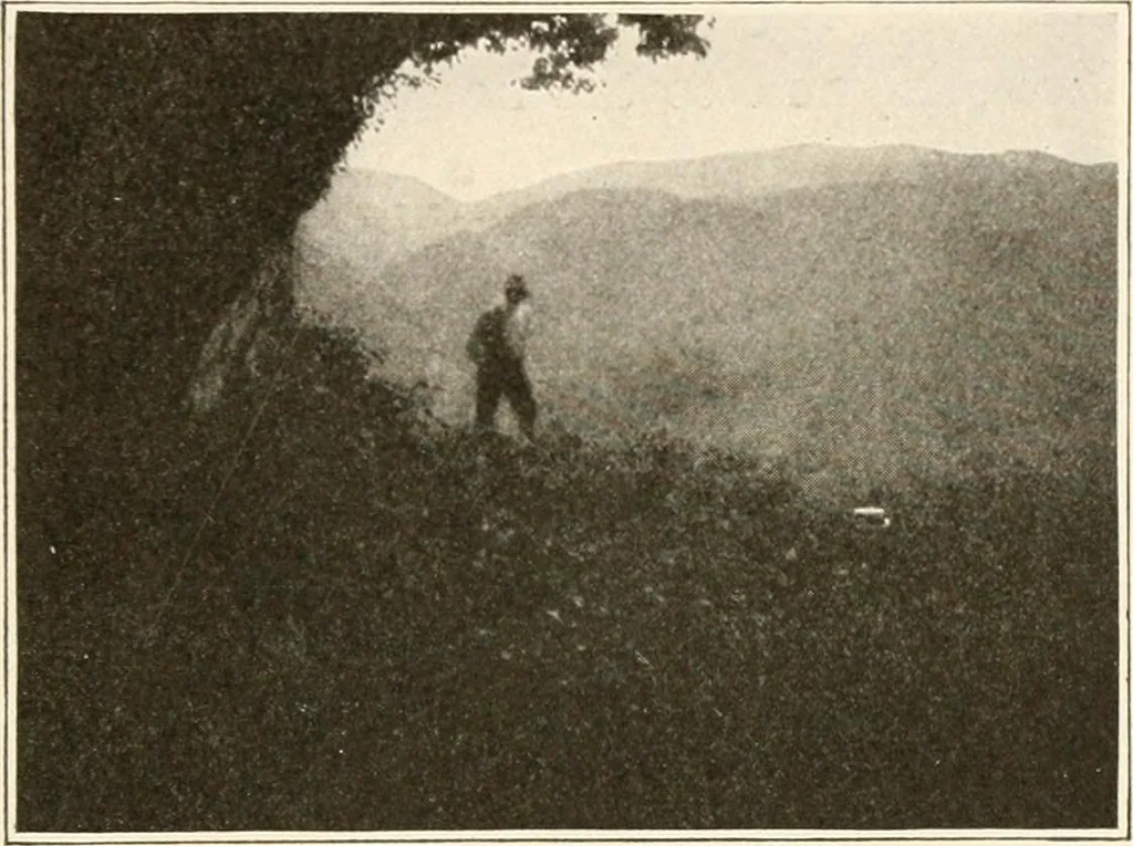An illustration from Men of the old stone age, their environment, life and art, 1916, leaf 282