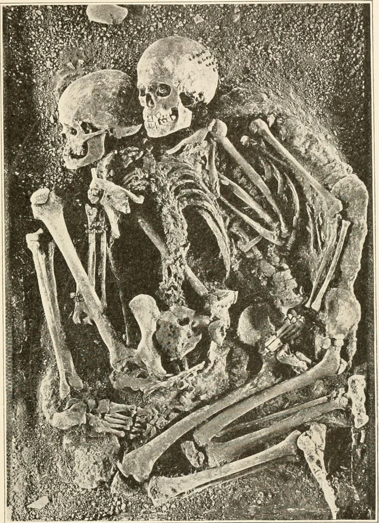 An illustration from Men of the old stone age, their environment, life and art, 1916, leaf 302