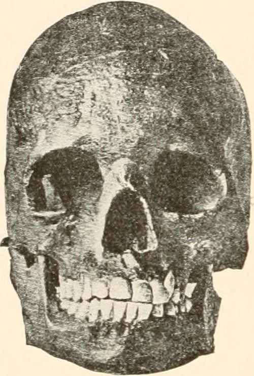 An illustration from Men of the old stone age, their environment, life and art, 1916, leaf 303