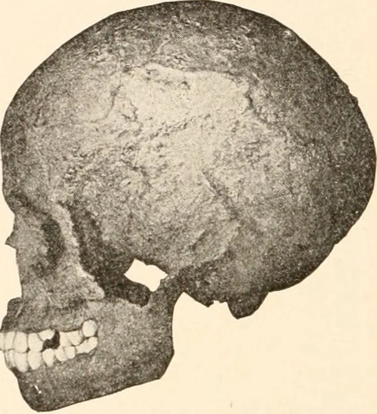 An illustration from Men of the old stone age, their environment, life and art, 1916, leaf 303