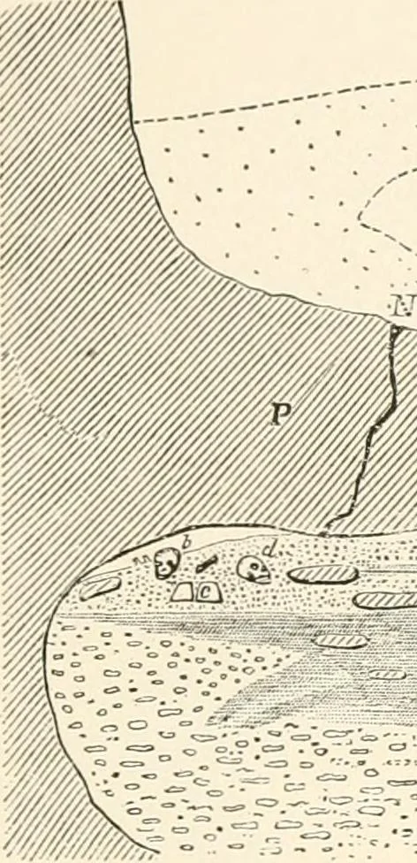 An illustration from Men of the old stone age, their environment, life and art, 1916, leaf 326