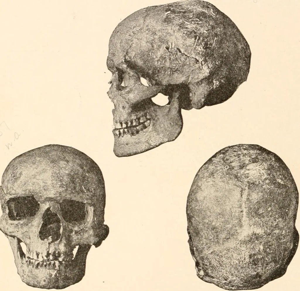 An illustration from Men of the old stone age, their environment, life and art, 1916, leaf 327