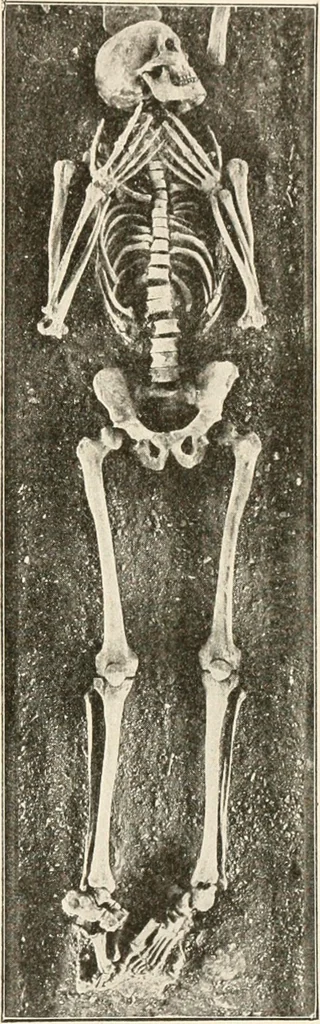 An illustration from Men of the old stone age, their environment, life and art, 1916, leaf 332