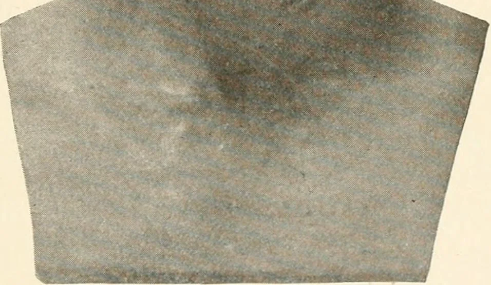 An illustration from Men of the old stone age, their environment, life and art, 1916, leaf 336