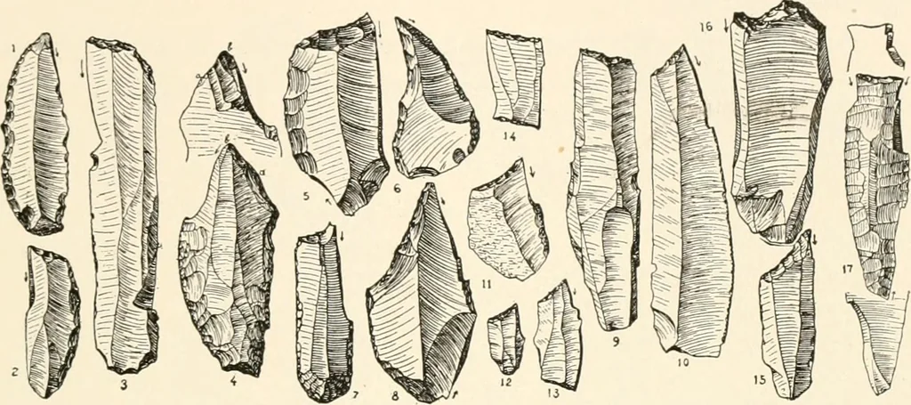 An illustration from Men of the old stone age, their environment, life and art, 1916, leaf 342