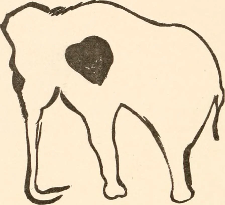 An illustration from Men of the old stone age, their environment, life and art, 1916, leaf 351