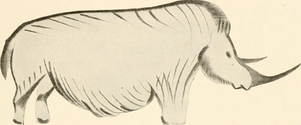 An illustration from Men of the old stone age, their environment, life and art, 1916, leaf 354
