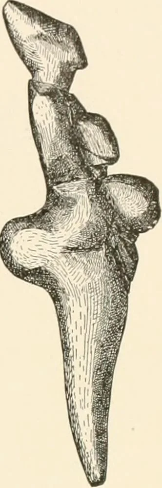 An illustration from Men of the old stone age, their environment, life and art, 1916, leaf 356