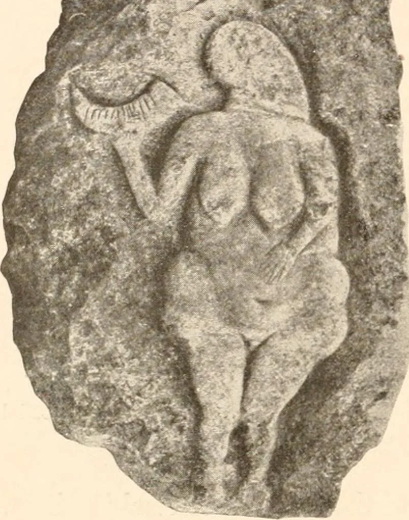 An illustration from Men of the old stone age, their environment, life and art, 1916, leaf 363