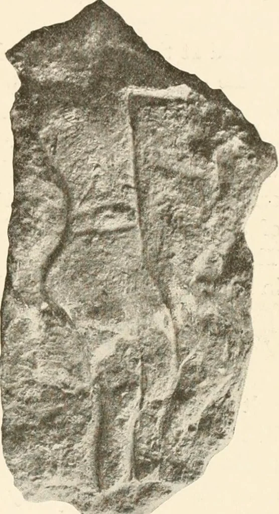 An illustration from Men of the old stone age, their environment, life and art, 1916, leaf 364