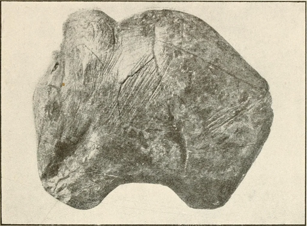An illustration from Men of the old stone age, their environment, life and art, 1916, leaf 384