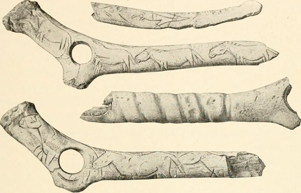 An illustration from Men of the old stone age, their environment, life and art, 1916, leaf 396