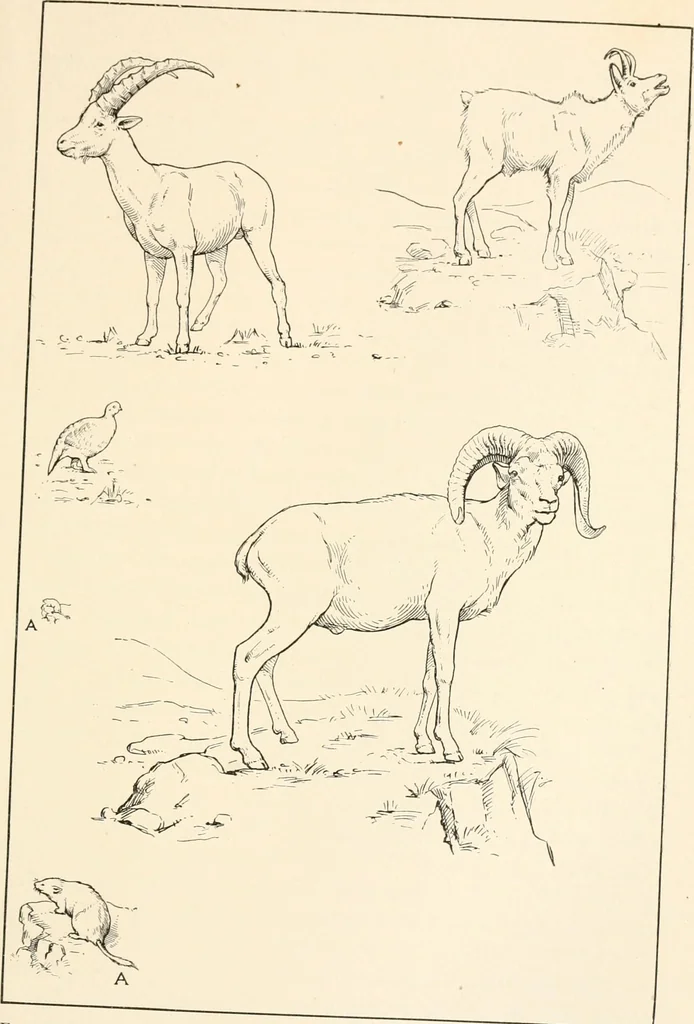 An illustration from Men of the old stone age, their environment, life and art, 1916, leaf 408
