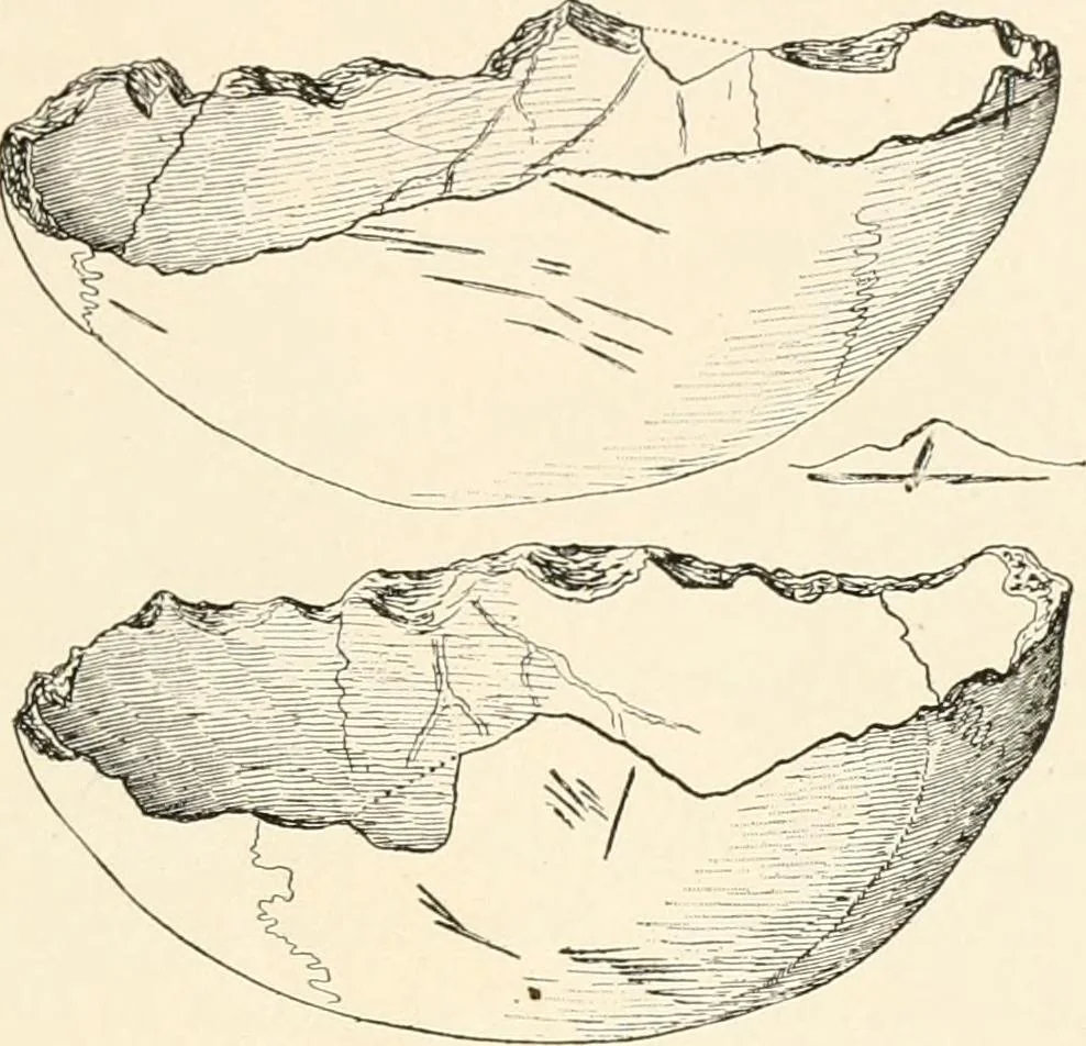 An illustration from Men of the old stone age, their environment, life and art, 1916, leaf 416