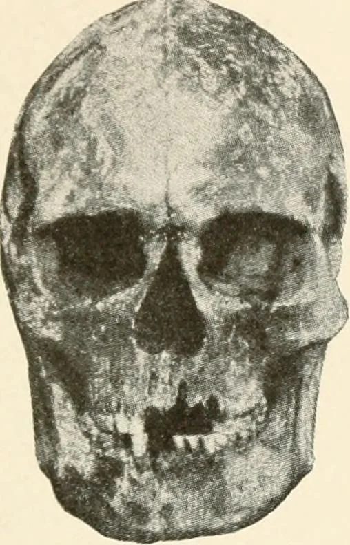An illustration from Men of the old stone age, their environment, life and art, 1916, leaf 418