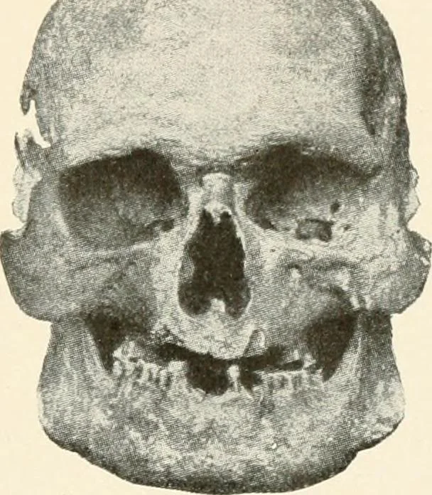 An illustration from Men of the old stone age, their environment, life and art, 1916, leaf 418