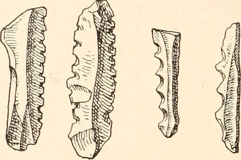 An illustration from Men of the old stone age, their environment, life and art, 1916, leaf 427