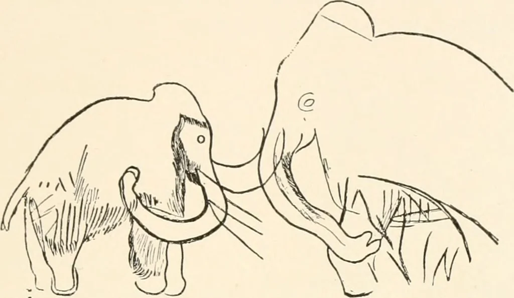 An illustration from Men of the old stone age, their environment, life and art, 1916, leaf 434