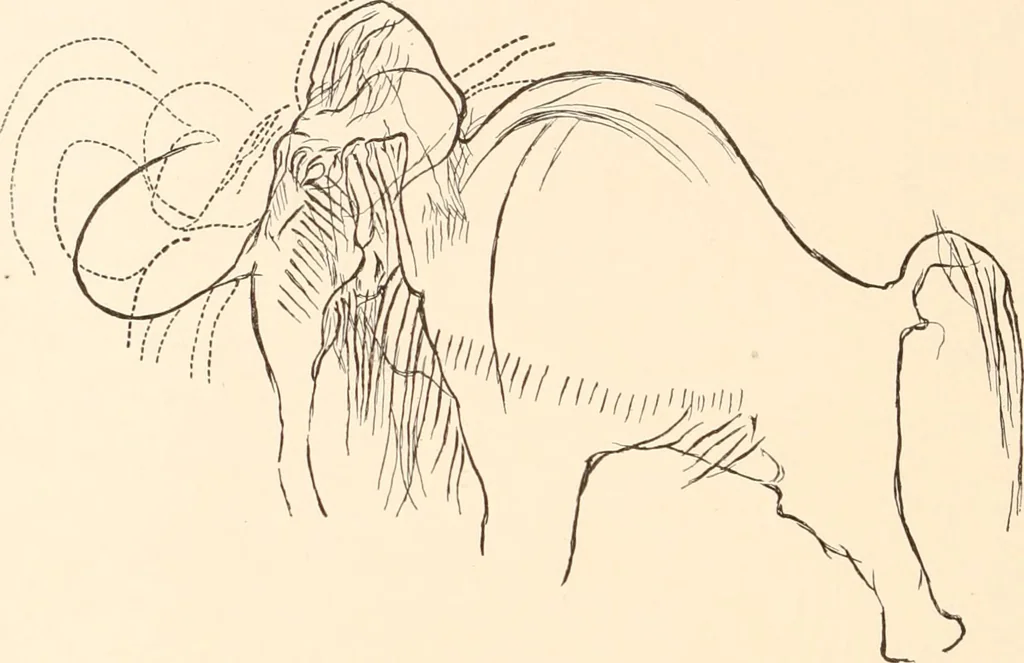 An illustration from Men of the old stone age, their environment, life and art, 1916, leaf 435