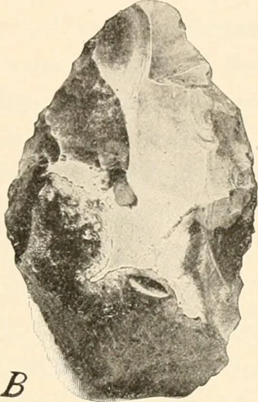 An illustration from Men of the old stone age, their environment, life and art, 1916, leaf 44