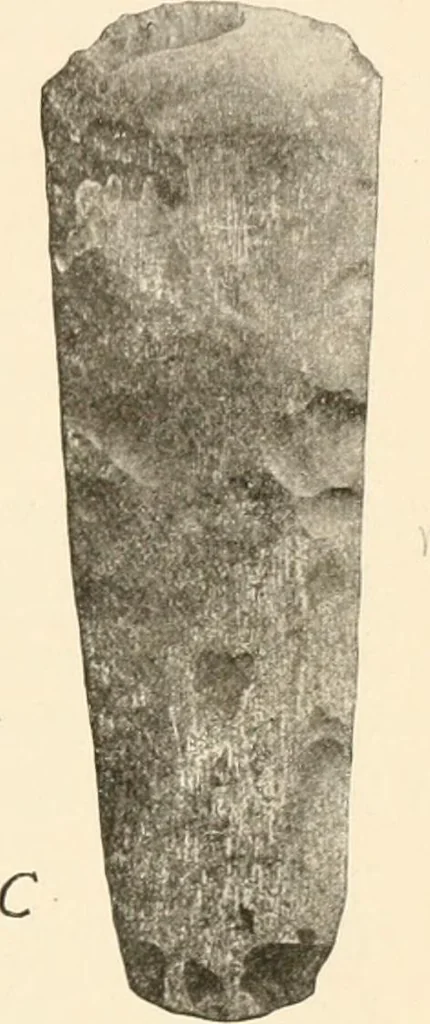 An illustration from Men of the old stone age, their environment, life and art, 1916, leaf 44