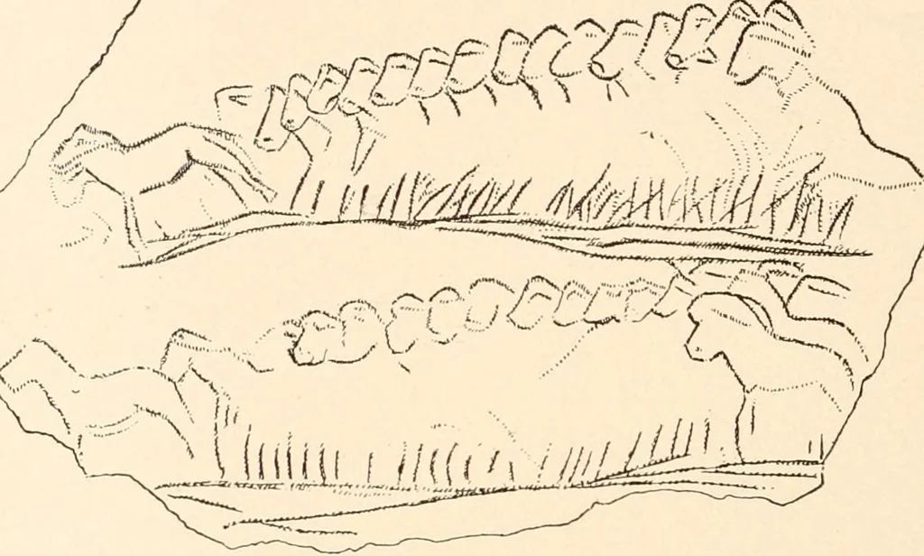 An illustration from Men of the old stone age, their environment, life and art, 1916, leaf 441